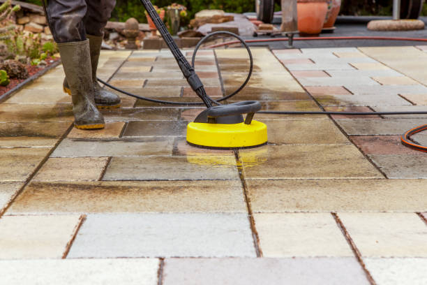 Animal Enclosure Cleaning in Nekoosa, WI